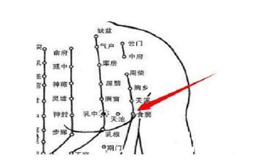 食窦准确位置图和作用 食窦怎么找