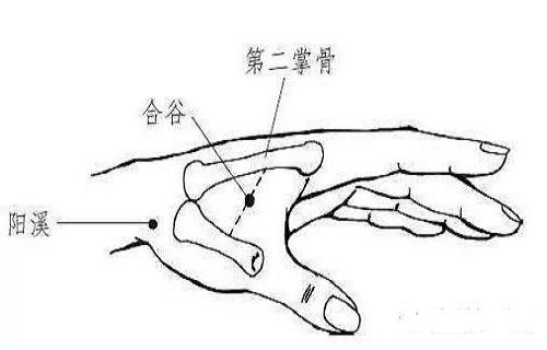 针刺合谷的作用怎样针刺合谷