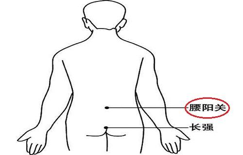 腰阳关的针刺深度 腰阳关针刺注意事项