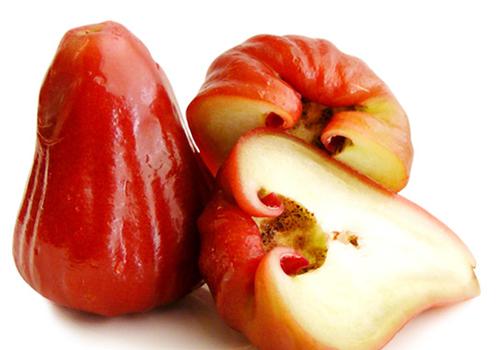 莲雾宝宝可以吃吗,宝宝吃莲雾的好处