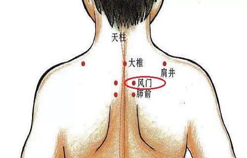 > 风门的针刺方法 风门怎么进针  简易取穴:俯卧,大椎穴往下推2个椎骨