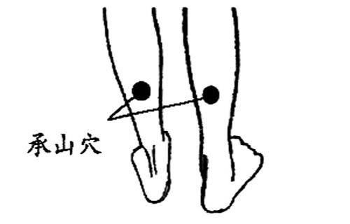承山针刺图解-乐哈健康网