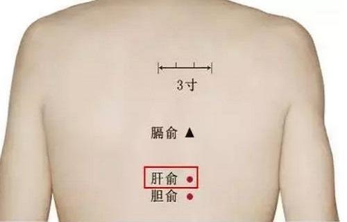 针灸肝俞可以治疗眼睛干涩吗肝俞针刺方法