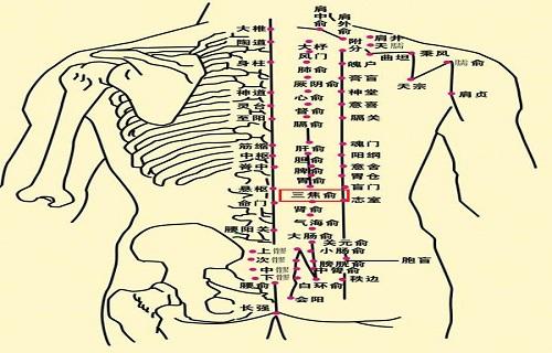 针灸三焦俞的作用与功效针灸三焦俞注意事项
