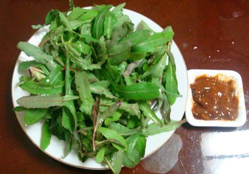 凉拌曲曲菜的做法,凉拌曲曲菜怎么做-乐哈健康网