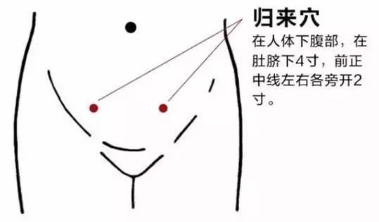 归来的准确位置图片 归来的功效与作用是什么