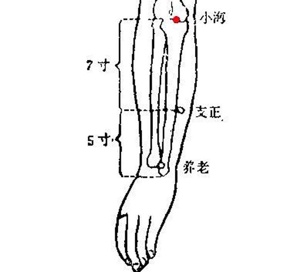 支正的准确位置图及作用功效 支正如何扎针 乐哈健康网 支正的准确位置图及作用功效 支正如何扎针 乐哈健康网
