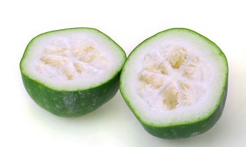 冬瓜仁的功效与作用