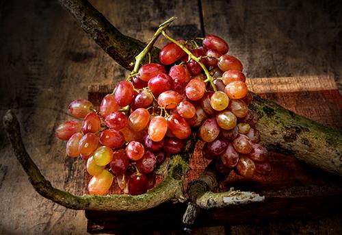 美人指的功效与作用