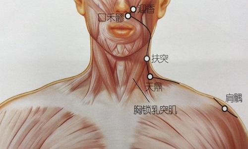 口禾髎的准确位置图口禾髎准确位置图和作用