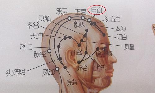 目窗的准确位置图 目窗准确位置图和作用
