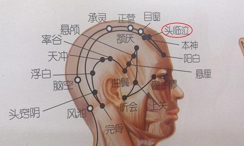 头临泣的准确位置图 头临泣的准确位置图和作用