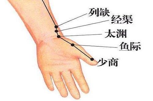 手太阴的准确位置图片手太阴肺经循行路线