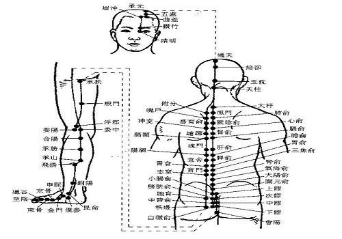 膀胱经不通的症状 膀胱经不通怎么调理[图]