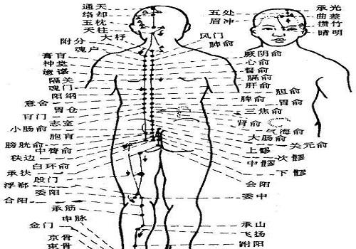 膀胱经不通的症状 膀胱经不通怎么调理[图]