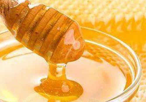 椴树蜂蜜的功效与作用