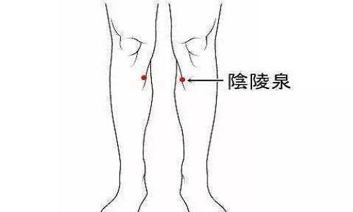阴陵泉按压痛说明什么 阴陵泉的功效与作用