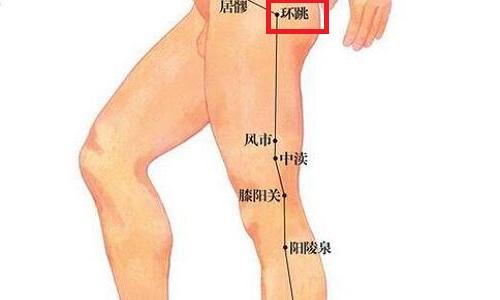 环跳疼痛是怎么回事 环跳的作用与功效 - 轻博客