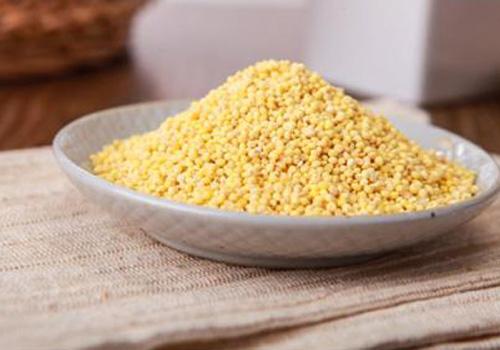 5辅助降压大黄米又称"黍",在古代被列为五谷之一