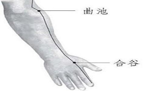 曲池的作用与好处 曲池按摩法