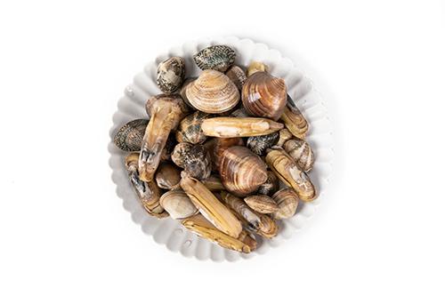 蛏子哪里不能吃图解 蛏子有没有寄生虫