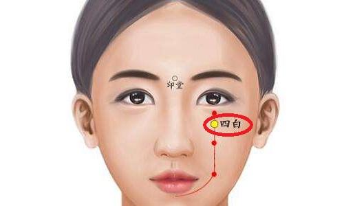承泣四白的准确位置图承泣四白的作用