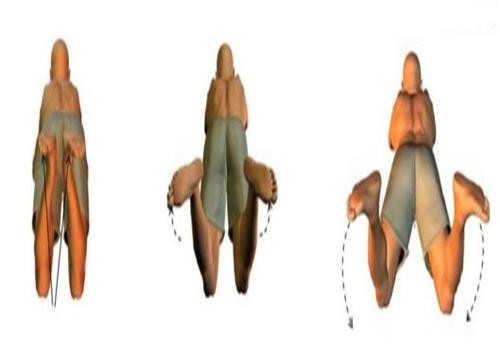 蛙泳蹬腿时发力技巧,蛙泳蹬腿不前进原因