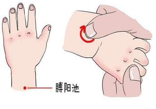 膊阳池的准确位置图,膊阳池的功效-乐哈健康网