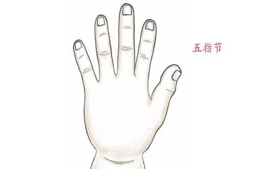 五指节的准确位置图五指节小儿推拿