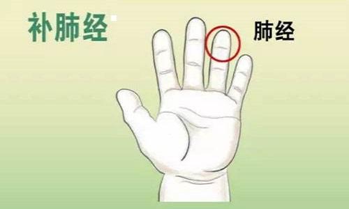 小儿肺经的准确位置图小儿推拿肺经的手法