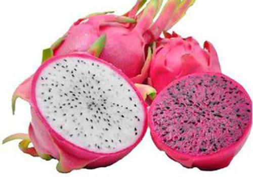 红心火龙果是转基因的吗 红心火龙果和白心火