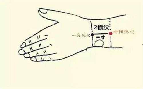 一窝风的准确位置图小儿推拿一窝风的作用
