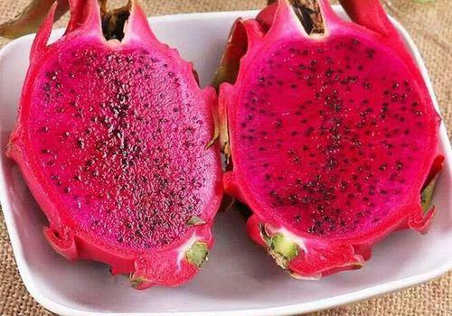 火龙果白的好还是红的好 火龙果白的和红的有