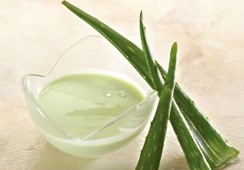 新鲜芦荟可以直接擦脸吗 皮肤过敏能直接用新