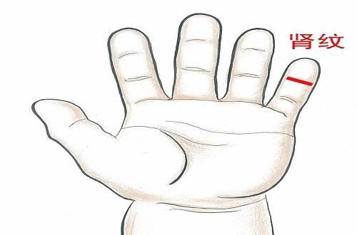 小儿推拿肾纹的位置图 肾纹的功效与作用