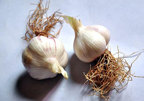 蜂蜜泡大蒜治什么病 蜂蜜泡大蒜的做法-乐哈健