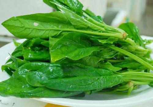 胃不好吃什么蔬菜最好 胃不好吃什么蔬菜养胃