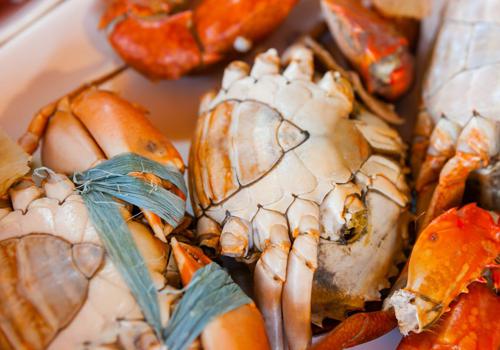 宝宝吃螃蟹过敏怎么办,宝宝吃螃蟹过敏症状-乐