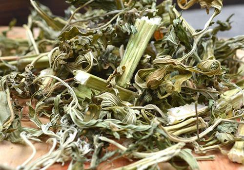 益母草新鲜的能吃吗? 新鲜益母草的做法