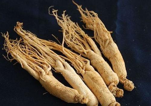 华山参的功效与作用