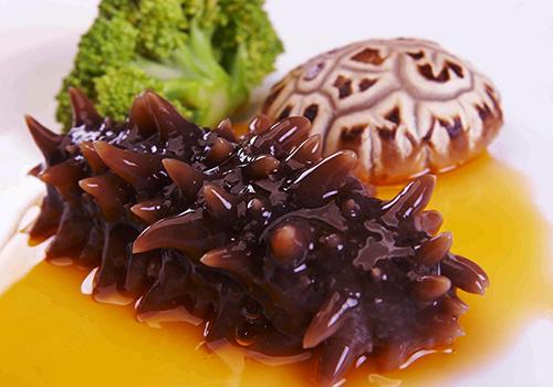 海参可以和鸡一起煲汤吗? 海参炖鸡的功效与作用