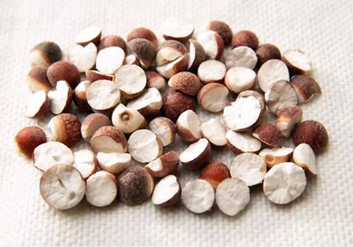 芡实不能和什么一起吃,芡实怎么吃祛湿最好