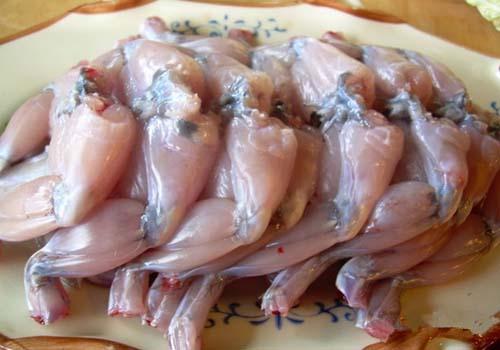 田鸡的功效与作用