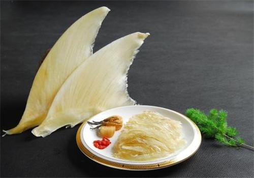 鱼翅的功效与作用
