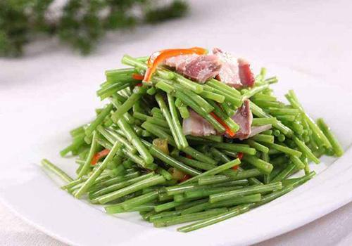 蒌蒿的功效与作用