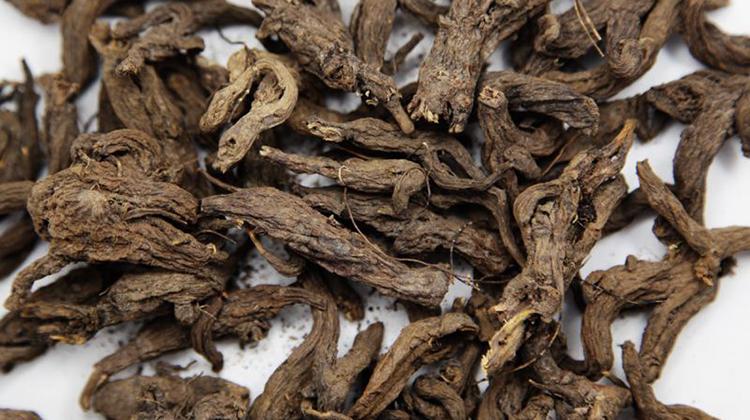 红大戟的功效与作用