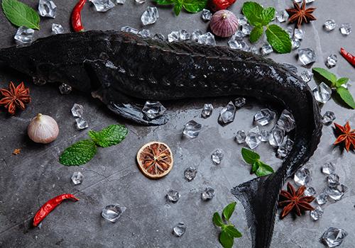 乌鳢的营养价值,乌鳢怎么做好吃-乐哈健康网