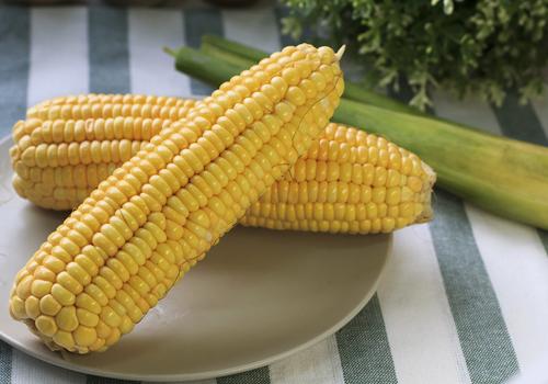 玉米是高热量的食物吗? 吃一周的玉米能减肥吗?