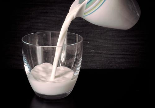 大人喝羊奶会长胖吗羊奶是不是可以减肥