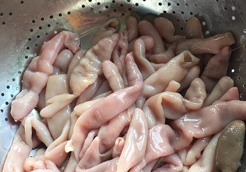 海肠的营养价值